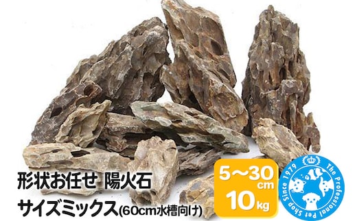 陽火石 サイズミックス（約5～30cm）10kg