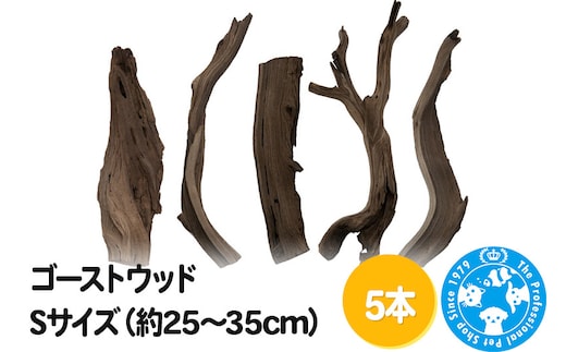 ゴーストウッド Sサイズ（約25～35cm）5本
