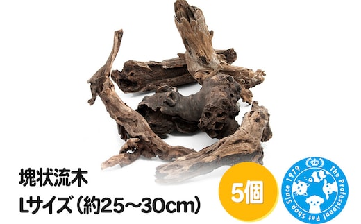 塊状流木 Lサイズ（約25～30cm）5個