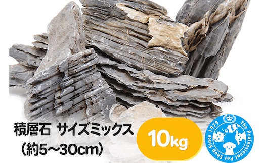 積層石 サイズミックス（約5～30cm）10kg
