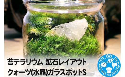 苔テラリウム 鉱石レイアウト クォーツ(水晶)ガラスポットS 説明書付