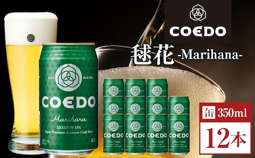 コエドビール 毬花-Marihana- 缶12本 ／ お酒 プレミアムピルスナービール 地ビール クラフトビール 埼玉県 特産品