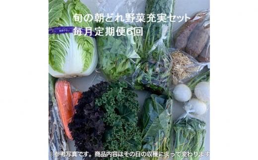 旬の朝どれ野菜充実セット×6回 ／ やさい 朝採れ 埼玉県