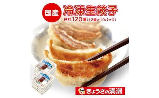 ぎょうざの満洲 冷凍生餃子10パック(120個)