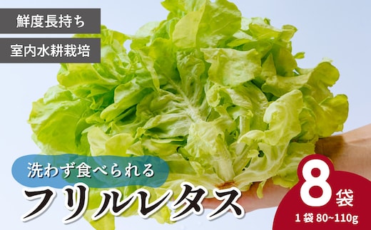 【農薬不使用】洗わず食べられる！フリルレタス 8袋