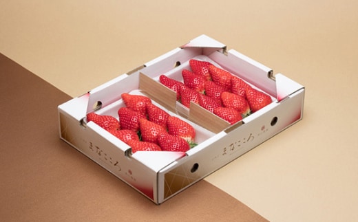 ＼ 期間限定 特別寄附額 ／ いちご とちおとめ 2パック×280g まなこころ・楓 【先行予約 11月中旬以降発送】 