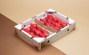 ＼ 期間限定 特別寄附額 ／ いちご とちおとめ 2パック×280g まなこころ・楓 【先行予約 11月中旬以降発送】 