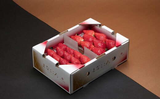 ＼ 期間限定 特別寄附額 ／ いちご とちおとめ 2パック×260g まなこころ・葵 【先行予約 11月中旬以降発送】