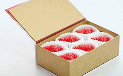 ＼ 期間限定 特別寄附額 ／ いちご とちおとめ 特別厳選 まなこころ・彩 210g 6粒 【先行予約 11月中旬以降発送】