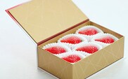 ＼ 期間限定 特別寄附額 ／ いちご とちおとめ 特別厳選 まなこころ・彩 210g 6粒 【先行予約 11月中旬以降発送】