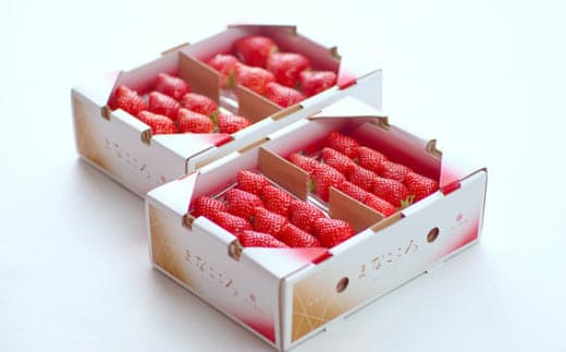 ＼ 期間限定 特別寄附額 ／ いちご とちおとめ 4パック×260g まなこころ・葵【先行予約 11月中旬以降発送】