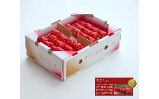 ＼ 期間限定 特別寄附額 ／ いちご あまりん 2パック×260g まなこころ・葵 【先行予約 12月中旬以降発送】