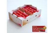 ＼ 期間限定 特別寄附額 ／ いちご あまりん 2パック×260g まなこころ・葵 【先行予約 12月中旬以降発送】