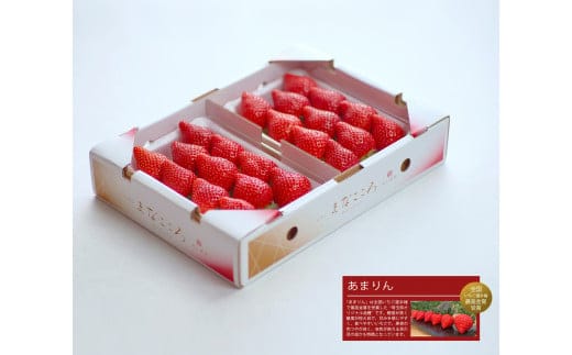 ＼ 期間限定 特別寄附額 ／ いちご あまりん 2パック×280g まなこころ・楓 【先行予約 12月中旬以降発送】