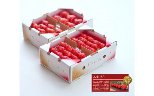 ＼ 期間限定 特別寄附額 ／ いちご あまりん 4パック×260g まなこころ・葵 【先行予約 12月中旬以降発送】 