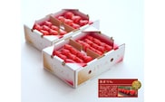 ＼ 期間限定 特別寄附額 ／ いちご あまりん 4パック×260g まなこころ・葵 【先行予約 12月中旬以降発送】 