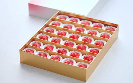 ＼ 期間限定 特別寄附額 ／ いちご とちおとめ 特別贈答用 まなこころ・煌 850g 30～36粒 【先行予約 11月中旬以降発送】