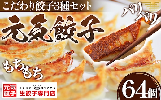元気餃子のこだわり餃子3種セット（64個入り/冷凍生餃子） 食べ比べ ギョーザ専門店 中華総菜 点心 もちもち パリパリ No.010