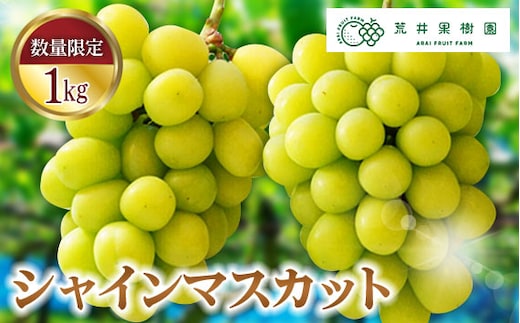 【先行予約】荒井果樹園のシャインマスカット 約1kg No.068
