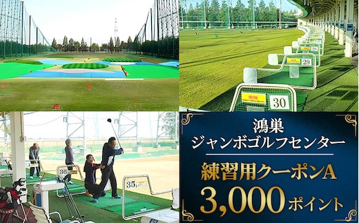 鴻巣ジャンボゴルフセンター 練習用クーポンA ICカードにチャージして使える3000ポイント 300ヤード・88打席の解放感あふれる練習場 No.076