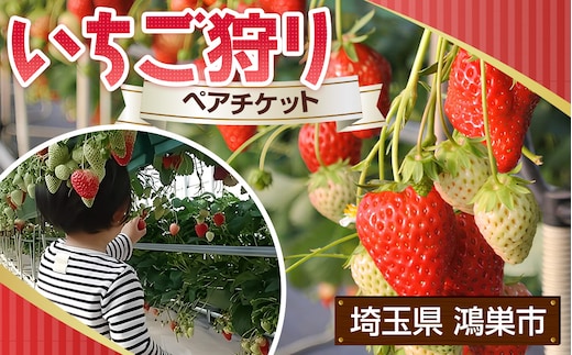 ［観光福祉農園元気ファーム］いちご狩りペアチケット（1ハウス分割貸切） No.134
