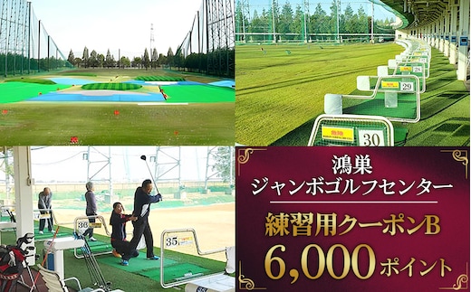 鴻巣ジャンボゴルフセンター 練習用クーポンB No.146