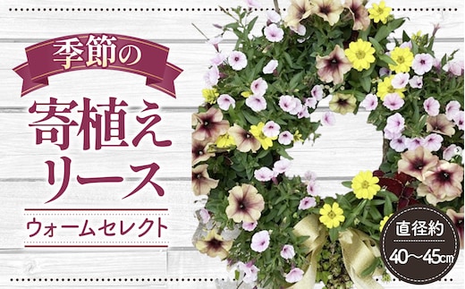 【季節の寄植えリース】ウォームセレクト＊花工房すなが＊ No.147