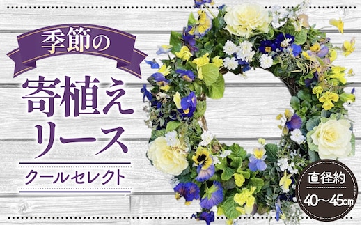 【季節の寄植えリース】クールセレクト＊花工房すなが＊ No.148