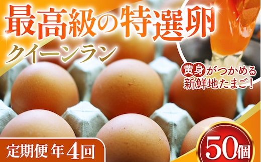 黄身がつかめる新鮮地たまごクイーンラン 赤玉50個入《定期便年4回》 No.213