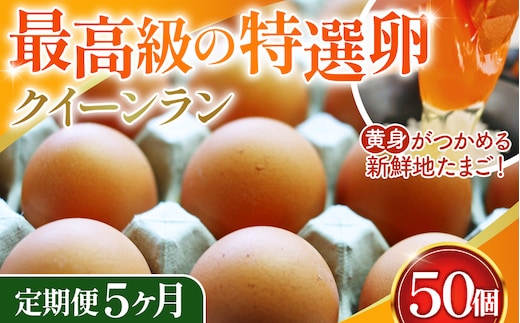 黄身がつかめる新鮮地たまごクイーンラン 赤玉50個入《定期便5ヶ月》 No.227