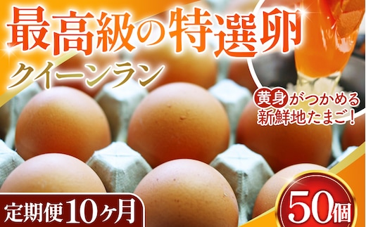 黄身がつかめる新鮮地たまごクイーンラン 赤玉50個入《定期便10ヶ月》 No.280