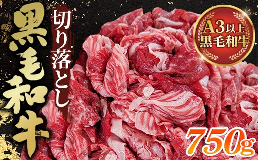 黒毛和牛切り落とし250g×3パック 合計750g No.430