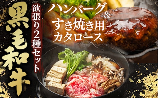 黒毛和牛欲張り2種セット［すき焼き用カタロース＆ハンバーグ］ No.432