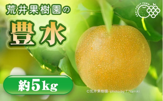 【先行予約】荒井果樹園の豊水 約5kg No.526