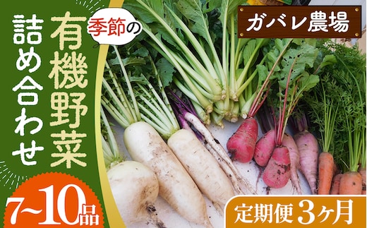 【有機野菜の定期便3ヶ月】ガバレ農場の季節の有機野菜詰め合わせセット No.527