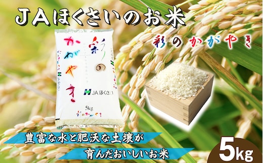 No.568 鴻巣市産「彩のかがやき」5kg