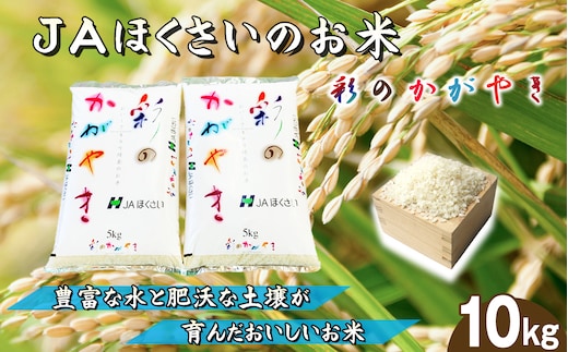 No.571 鴻巣市産「彩のかがやき」5kg×2（10kg）