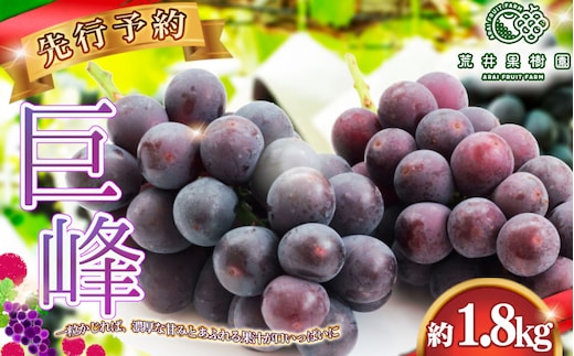 【先行予約】荒井果樹園の巨峰 約1.8kg No.590