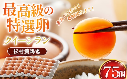 黄身がつかめる新鮮地たまご クイーンラン 赤玉 75個入 No.591