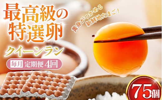 【毎月定期便】黄身がつかめる新鮮地たまご クイーンラン 赤玉 75個入り全4回 No.593