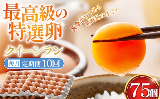 【毎月定期便】黄身がつかめる新鮮地たまご クイーンラン 赤玉 75個入り全10回 No.595