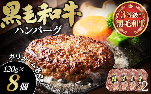 黒毛和牛ハンバーグ120g×8個セット No.603