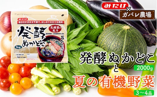 【コラボC】発酵ぬかどこ1kg×2＆夏の有機野菜3～4品 No.618
