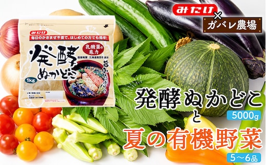 【コラボE】発酵ぬかどこ1kg×5＆夏の有機野菜5～6品 No.620