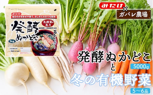 【コラボF】発酵ぬかどこ1kg×5＆冬の有機野菜5～6品 No.621