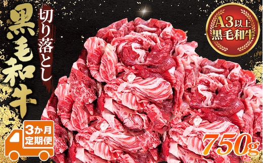 【3か月定期便】黒毛和牛切り落とし250g×3パック No.633