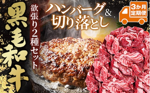 【3か月定期便】黒毛和牛欲張りセット（切り落とし250g・ハンバーグ 120g×8個） No.634