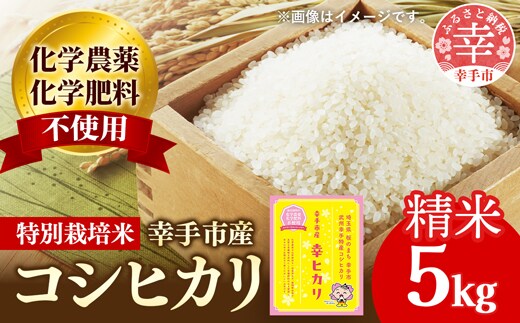 【令和7年産】無農薬・無化学肥料栽培 埼玉県幸手市産特別栽培コシヒカリ 「幸ヒカリ」精米5kg - 新米発送 コシヒカリ こしひかり 米 精米 5kg 特別栽培米 幸手市産 埼玉県 幸手市