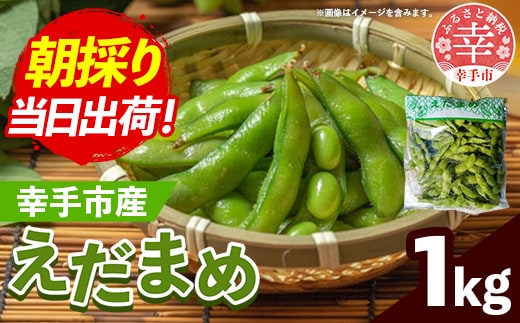 【きあり農園】2026年度 幸手市産 枝豆 1kg - 朝採り えだ豆 エダマメ 産地直送 野菜 ベジタブル 美味しい おいしい 豆 ずんだ おつまみ 晩酌 枝豆ご飯 おすすめ 送料無料 埼玉県 幸手市