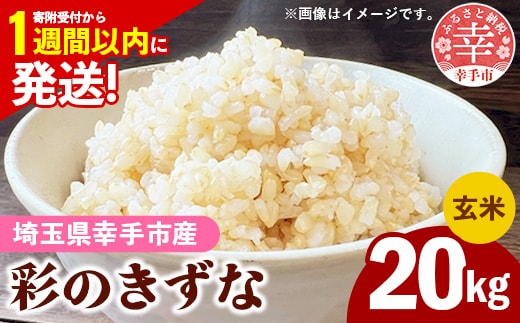 令和7年産【彩のきずな】玄米20kg 色彩選別済 Brown Rice - お米 米 ごはん 玄米 20kg 埼玉県 幸手市
